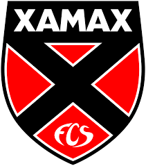 Escudo actual