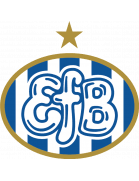 Escudo actual
