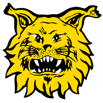 Escudo del Ilves
