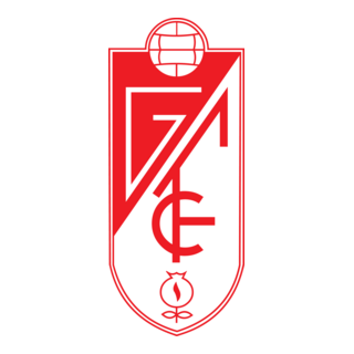 Escudo actual